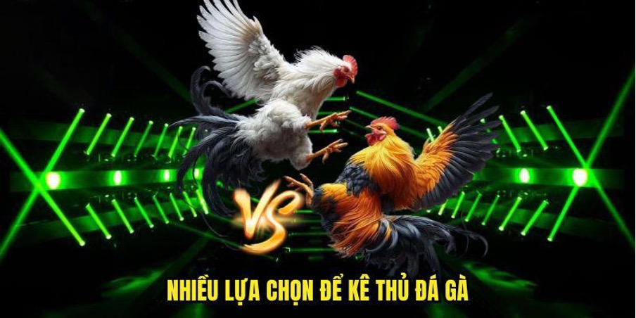 Đá gà Max88 - Trải nghiệm cá cược chiến kê đỉnh cao mỗi ngày